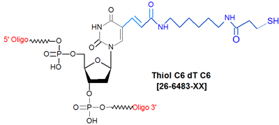 picture of Thiol C6 dT